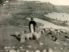 Joyce and the Dogs in the Penguin Rookery c1908, (1909)