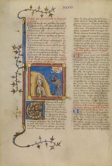 Job on the Dung Heap, about 1360-1370. Creator: Master of Jean de Mandeville