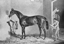 Joe Miller 19th century, (1911)