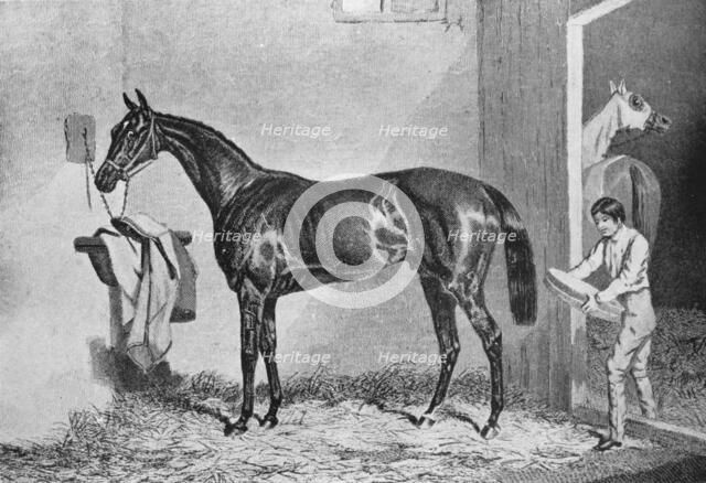 'Joe Miller', 19th century, (1911). Artist: Unknown.