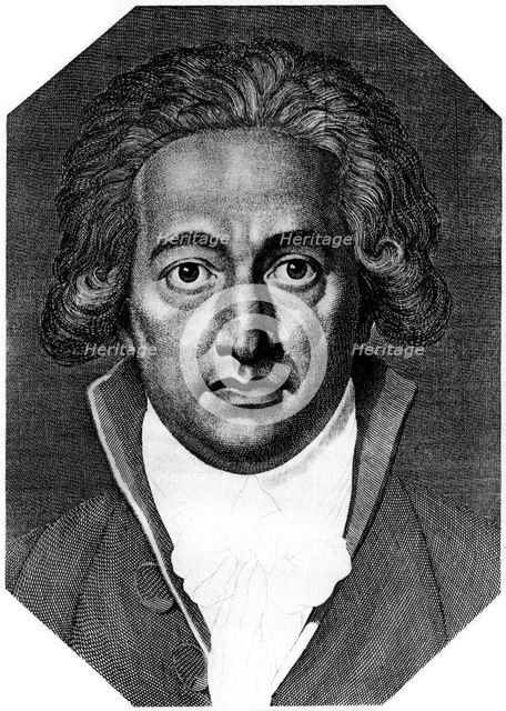 Johann Wolfgang von Goethe, German poet, dramatist and scientist, in 1791. Artist: Unknown