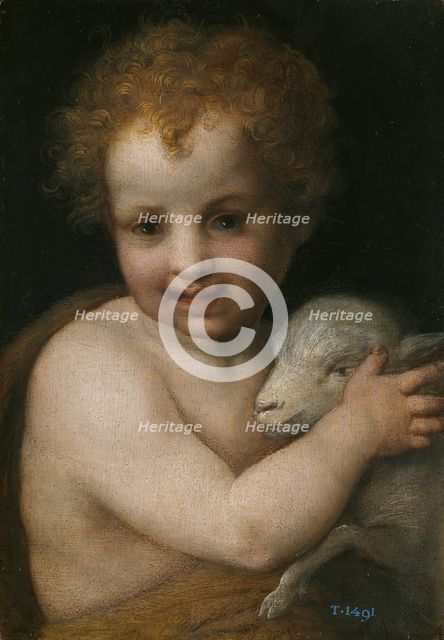 John the Baptist as child. Artist: Andrea del Sarto (1486-1531)