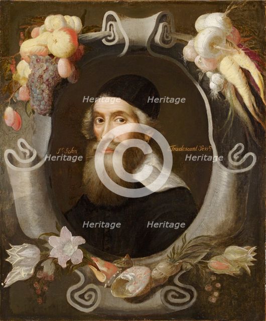 John Tradescant the Elder, 17th century. Artist: Emanuel de Critz.