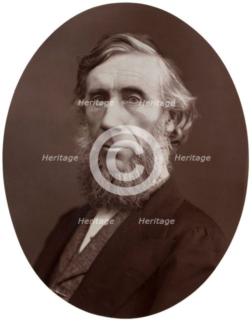 John Tyndall, DCL, LLD, FRS, Professor of Natural Philosophy at the Royal Institution, 1877.Artist: Lock & Whitfield
