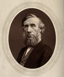 John Tyndall, late 19th century. Creator: Lock & Whitfield