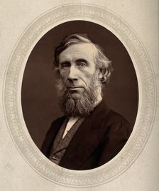 John Tyndall, late 19th century. Creator: Lock & Whitfield