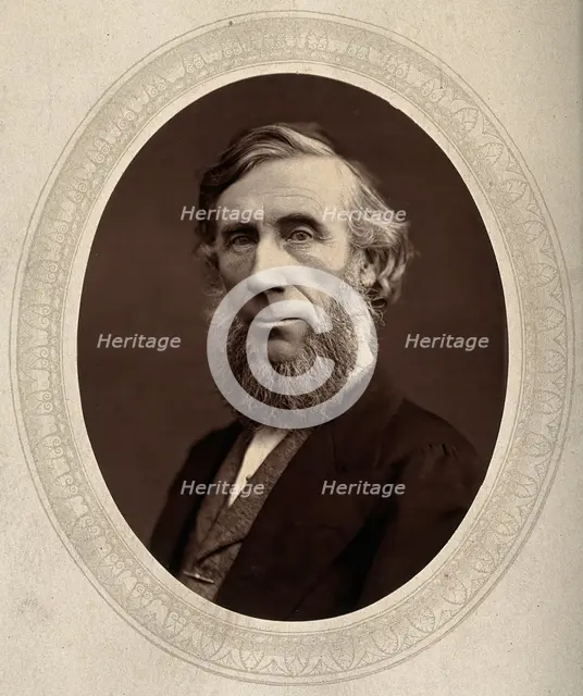 John Tyndall, late 19th century.  Creator: Lock & Whitfield.