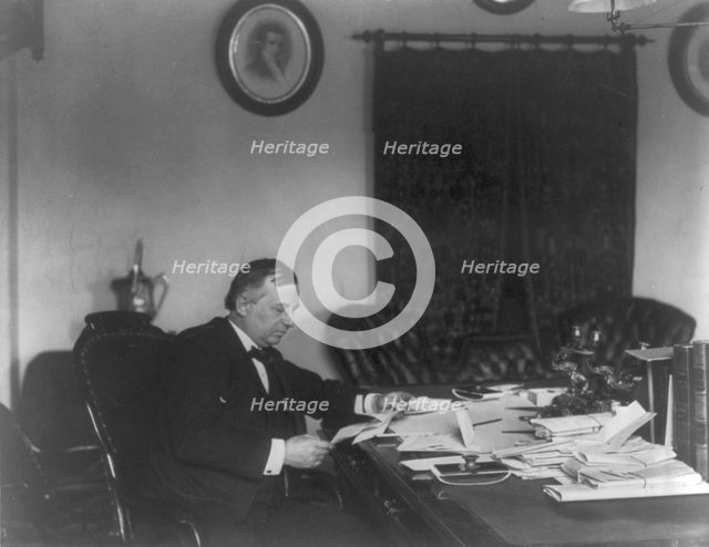 John Wanamaker, c1890. Creator: Frances Benjamin Johnston.