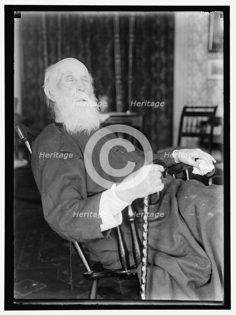 John Burroughs?, between 1913 and 1917. Creator: Harris & Ewing.