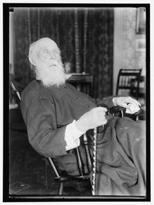John Burroughs?, between 1913 and 1917. Creator: Harris & Ewing