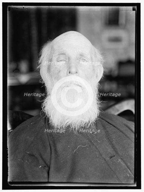 John Burroughs?, between 1913 and 1917. Creator: Harris & Ewing.