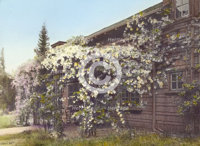 John Constantine Hillman house, 514 California Terrace, Pasadena, California, 1917. Creator: Frances Benjamin Johnston.