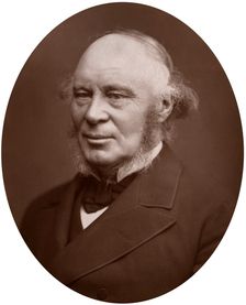 John Fowler, civil engineer, 1882.Artist: Lock & Whitfield