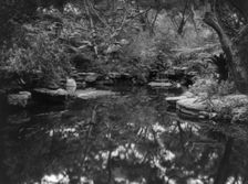 John L. Severance House, Pasadena, California. Waterfall and pond, 1923. Creator: Frances Benjamin Johnston