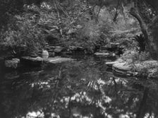John L. Severance House, Pasadena, California. Waterfall and pond, 1923. Creator: Frances Benjamin Johnston