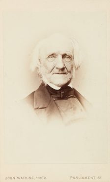 John Pye, c1856. Creator: John Watkins