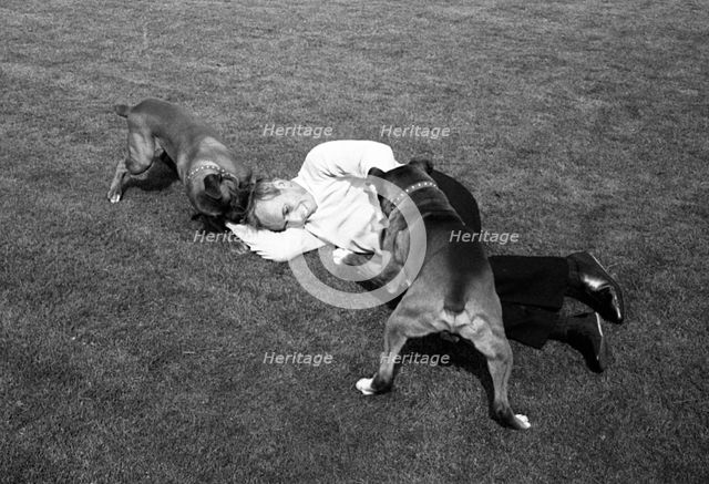 John Surtees playing with his pet dogs at home 1966. Creator: Unknown.