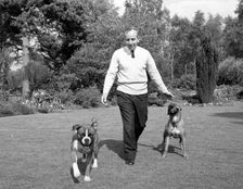 John Surtees playing with his pet dogs at home 1966. Creator: Unknown