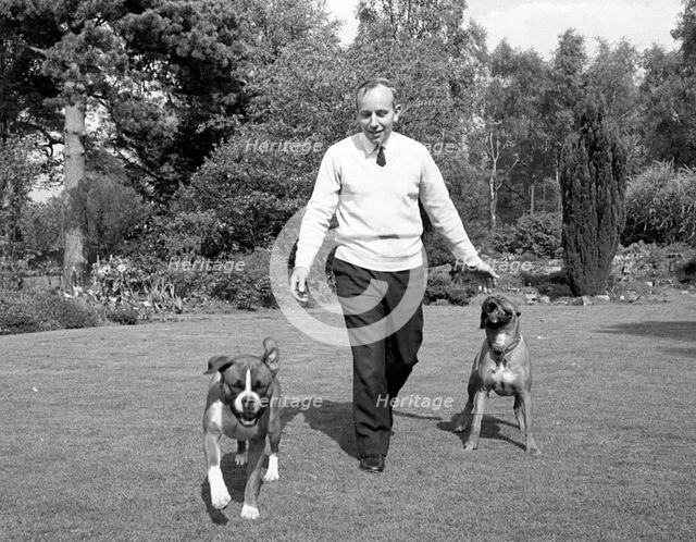 John Surtees playing with his pet dogs at home 1966. Creator: Unknown.
