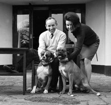 John Surtees relaxes at home with his wife and pet dogs in 1966. Creator: Unknown