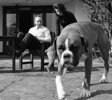 John Surtees relaxes at home with his wife and pet dogs in 1966. Creator: Unknown