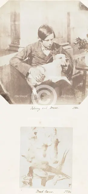 Johnny and Drum; Dead Game, 1853-56. Creator: John Dillwyn Llewelyn.