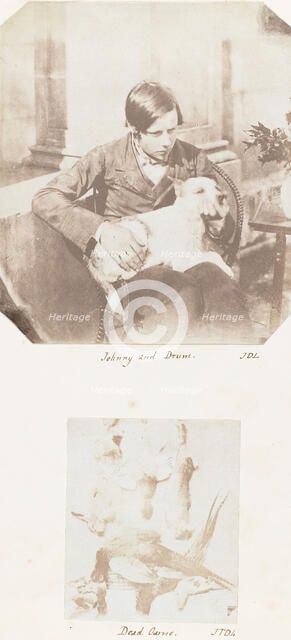 Johnny and Drum; Dead Game, 1853-56. Creator: John Dillwyn Llewelyn.