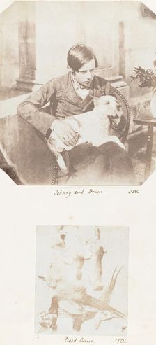 Johnny and Drum; Dead Game, 1853-56. Creator: John Dillwyn Llewelyn