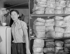 Johnnie Lew, owner of the laundry under the apartment of Mrs. Ella Watson..., Washington, DC, 1942. Creator: Gordon Parks