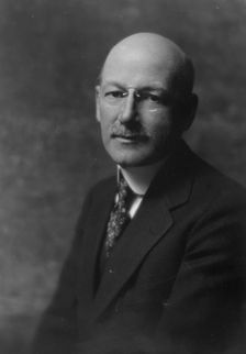 Johnson, F.C., Mr., portrait photograph, 1916. Creator: Arnold Genthe
