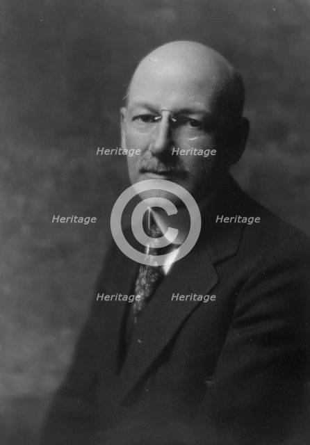 Johnson, F.C., Mr., portrait photograph, 1916. Creator: Arnold Genthe.