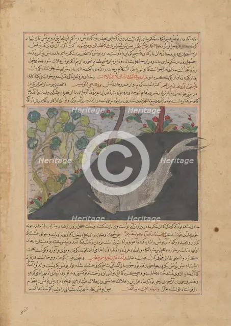 Jonah and the Whale, Folio from a Majma' al-Tavarikh (Compendium of Histories)..., ca. 1425. Creator: Unknown.