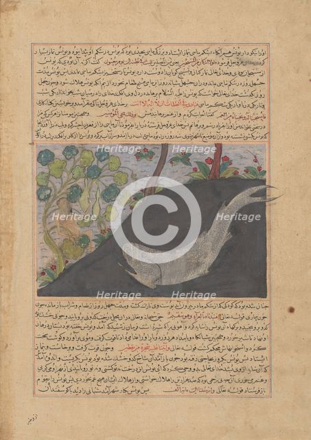 Jonah and the Whale, Folio from a Majma' al-Tavarikh (Compendium of Histories)..., ca. 1425. Creator: Unknown.