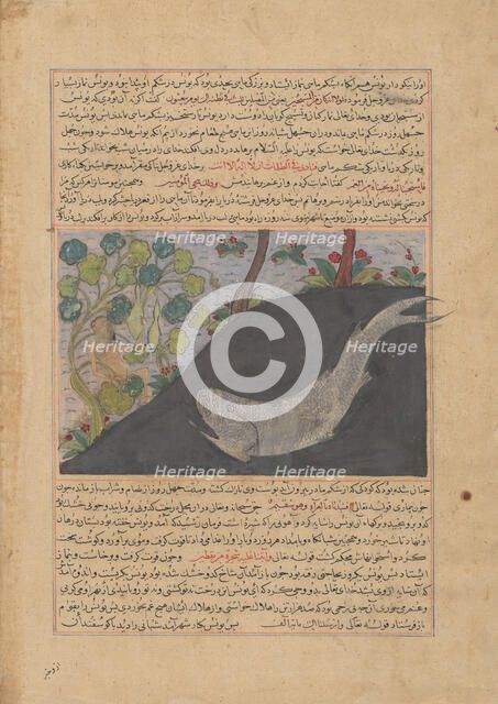 Jonah and the Whale, Folio from a Majma' al-Tavarikh (Compendium of Histories)..., ca. 1425. Creator: Unknown.