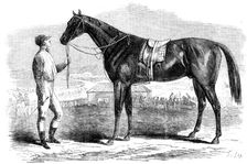 Jonathas, winner of the First Fontainebleau Stakes, 1862. Creator: Unknown