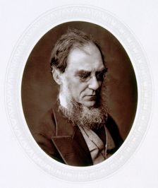 Joseph Dalton Hooker, English botanist, c1880. Creator: Lock & Whitfield
