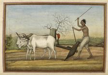 "Jat", a numerous tribe spread over much of north, 1825. Creator: Anon