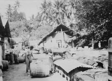 Java, shipping Plumbago, between c1915 and c1920. Creator: Bain News Service