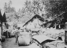 Java, shipping Plumbago, between c1915 and c1920. Creator: Bain News Service