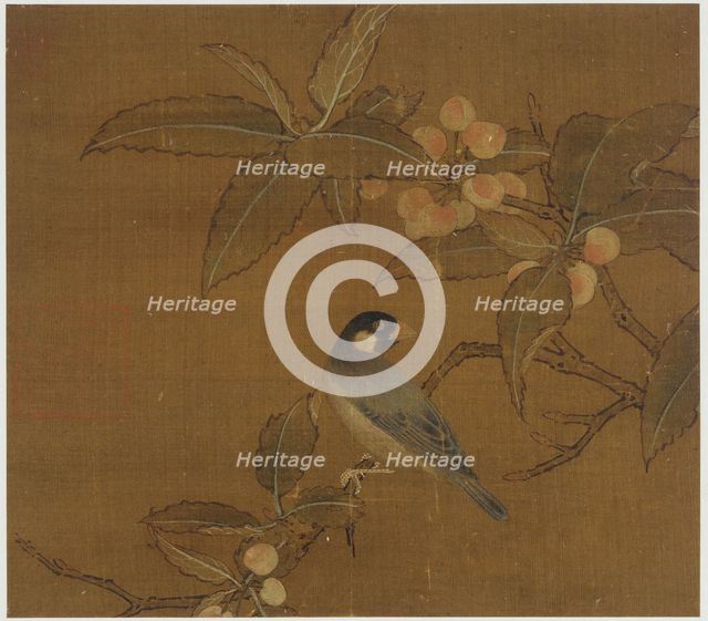 Java Sparrow on a berry branch, Ming dynasty, 15th century. Creator: Unknown.