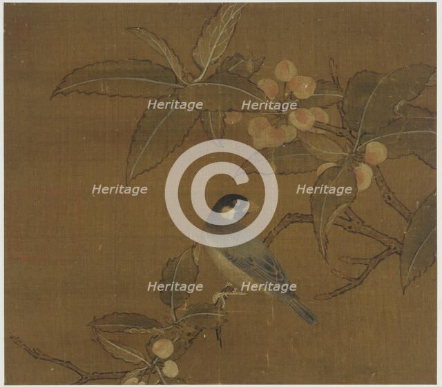 Java Sparrow on a berry branch, Ming dynasty, 15th century. Creator: Unknown.