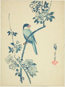 Java sparrow on cherry branch, c. 1830/44. Creator: Ando Hiroshige