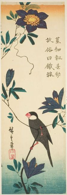 Java sparrow and clematis, 1830s. Creator: Ando Hiroshige