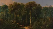 Javanese Jungle, ca. 1860. Creator: Raden Saleh