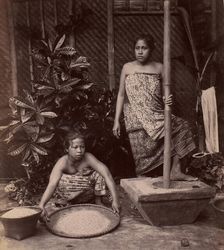 Javanese Women Preparing Rice, 1860s-70s. Creator: Unknown