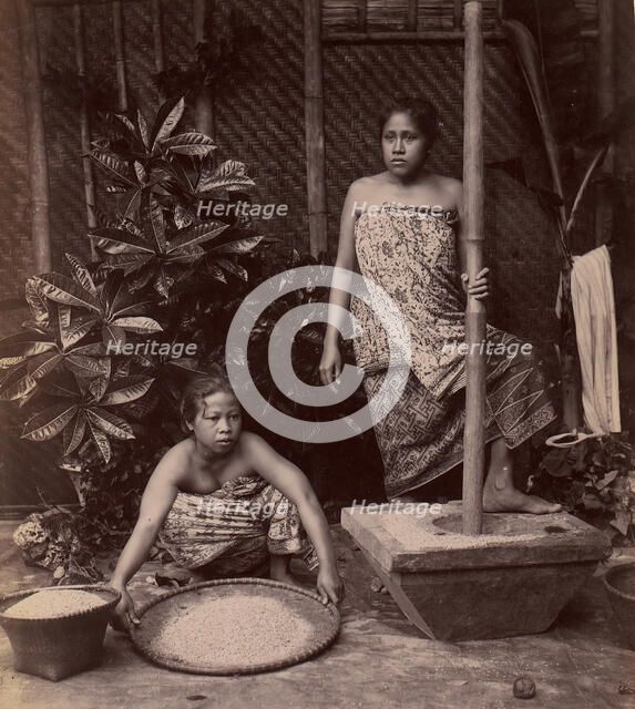 Javanese Women Preparing Rice, 1860s-70s. Creator: Unknown.