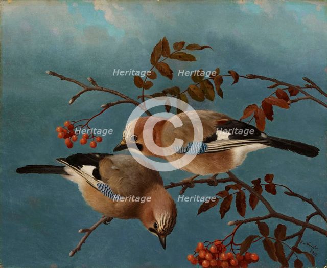 Jays, 1877. Creator: Ferdinand von Wright.