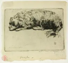 Jack, 1902. Creator: Donald Shaw MacLaughlan