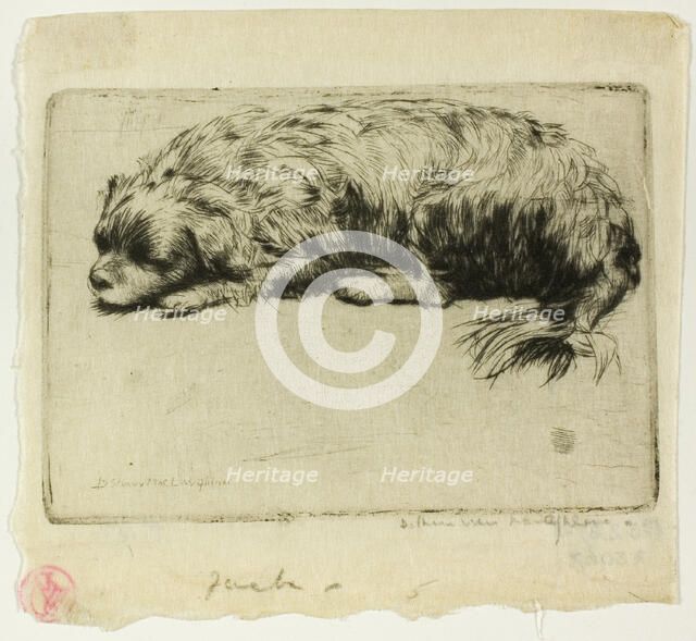 Jack, 1902. Creator: Donald Shaw MacLaughlan.