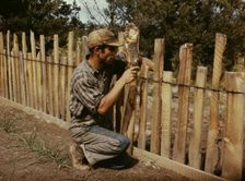 Jack Whinery, homesteader, repairing fence which he built with slabs, Pie Town, New Mexico, 1940. Creator: Russell Lee